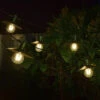 Vivo 365 String Lights - Set Of 8
