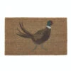 Pheasant Outdoor Mat 45 X 75cm