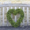 Smart Garden Boxwood Heart