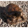 Border Stoneware Large Tortoise