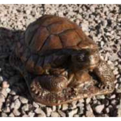 Border Stoneware Large Tortoise