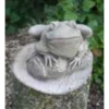 Border Stoneware Frog On Log