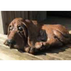 Border Stoneware Bloodhound