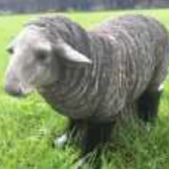 Border Stoneware Dolly The Sheep