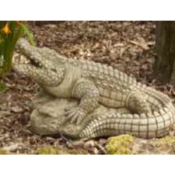 Border Stoneware Croc On Rock