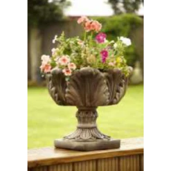 Border Stoneware Small Tulip Pot