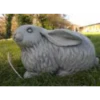 Border Stoneware Lop Eared Rabbit