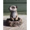 Border Stoneware Baby Meerkat