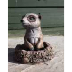 Border Stoneware Baby Meerkat
